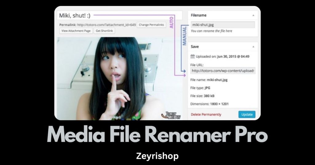 Free Download Media File Renamer Pro WP Plugin