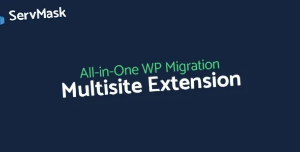 All In One WP Migration Multisite