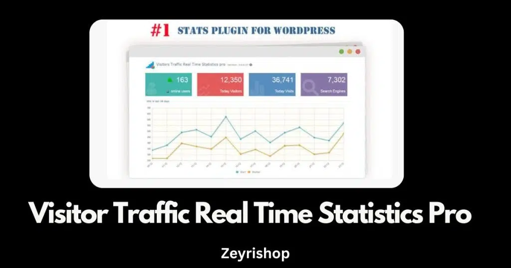 Free Download Visitor Traffic Real Time Statistics Pro