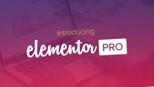 elementor pro