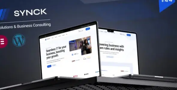 Synck Business IT Solution WordPress